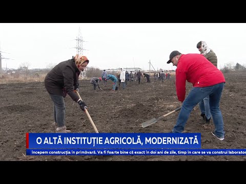 Video: Așteptări Ale Consecințelor Interdicției Asupra Importurilor De Produse Alimentare De La 1 Septembrie