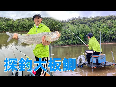 探釣千島湖野水庫大板鯽，解鎖一個新漁獲品種，冬釣鯽魚的知識乾貨 #天元鄧剛