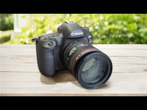 Canon R5 vs 5D Mk IV: DSLR vs Mirrorless!. 