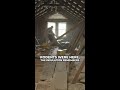 Post-Rodent Attic Safety