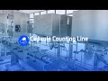 Optimizing Capsule Counting Line: Enhancing Accuracy and Efficiency for Reliable Dosing