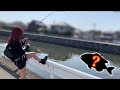 超簡単に釣れる魚。女2人で楽しんできた。