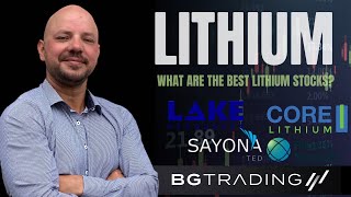 What Are The Best Lithium Stocks To Pick? Pls Igo Min Vul Sya Cxo Ltr Agy Spasx200