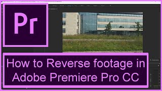 How to - Reverse video in Adobe Premiere Pro CC (2024 Update)