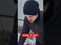 New beekeeping trend! Winter is bees #music #newsong #song #remix #habibi #bee