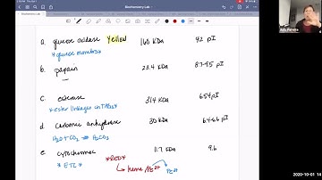 FPLC Purification Demo - Our 5 proteins