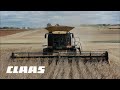 CLAAS Lexion 750 in Leola, Pennsylvania