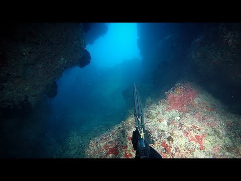 PESCASUB BRASIL -