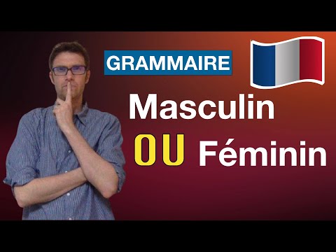 ?? Comment SAVOIR si un nom est MASCULIN ou FÉMININ ? - GRAMMAIRE en FRANÇAIS FACILE