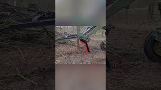 DIY Tree Removal: NEW Tool vs Stubborn Roots! #shorts