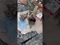 paano magpalit ng mahaba kunti na cross bearing sa rotavator#shortsvideo #tutorialvideo #subscribers