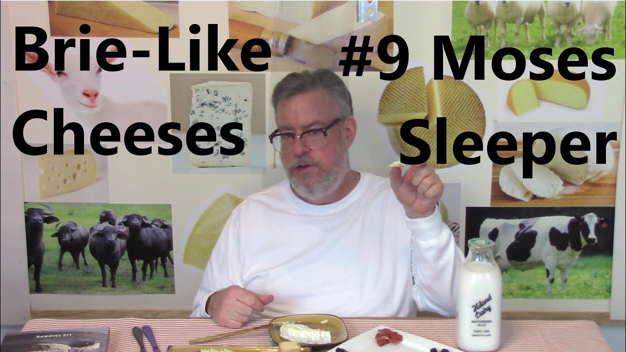 Brie-Like Cheeses #9 - Moses Sleeper from The Cellars at Jasper Farms