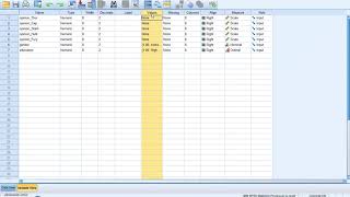 OV1 SPSS interface