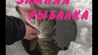 Зимняя рыбалка с семьёй Парфюмера.Ново-Егорьевское.ice fishing