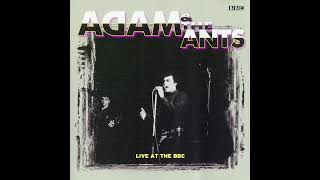ADAM &amp; THE ANTS – Zerox – Live At The BBC 10/7/78
