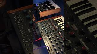 Fast Rangoon / Dark Energy - Ritm2 - Dom1 #electronicmusic #music #analogsynth #techno #synth #akai