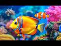 The Best 4K Aquarium - Dive Into The Mesmerizing Underwater Realm, Sea Jellyfish, Coral Reefs . #7