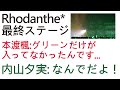グリーンだけ持ってなかった本渡楓と内山夕実 in Rhodanthe*のライブ