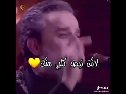 أحبك اليش الن نبض قلبي منك أجمل قصيده الملا باسم الكربلائي 