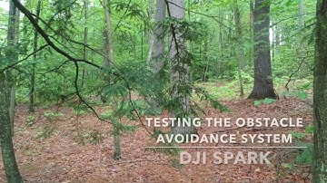 DJI Spark Obstacle Avoidance Tests!