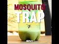 Easy Mosquito Trap | Outdoor DIY