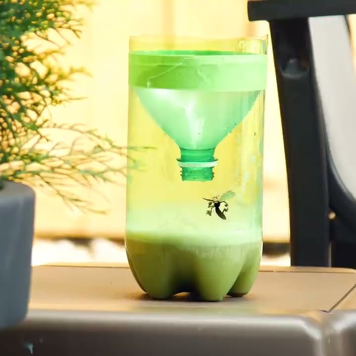 Easy Mosquito Trap | Outdoor DIY