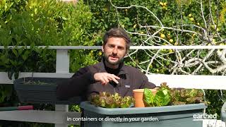 Grow Along With The Frenchie Gardener, Patrick Vernuccio And Earthed