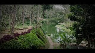 video cinematic pemandian Dampit
