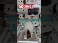クレーンゲーム1000円チャレンジ 3 #short #shorts #クレーンゲーム  #ユーフォーキャッチャー #ユーホーキャッチャー #clawmachine #夾娃娃機 #ufoキャッチャー
