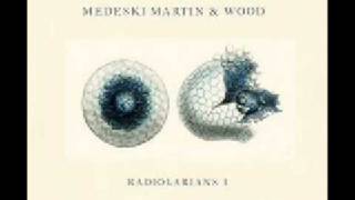 Medeski Martin & Wood - Professor Nohair chords