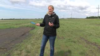 Soil Health Minute: Salinity Issues