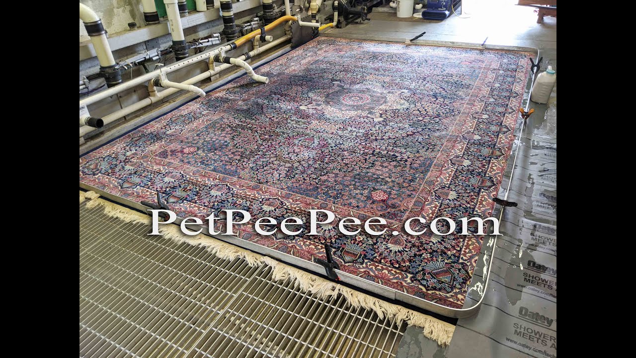 PetPeePee service-professional pet odor removal