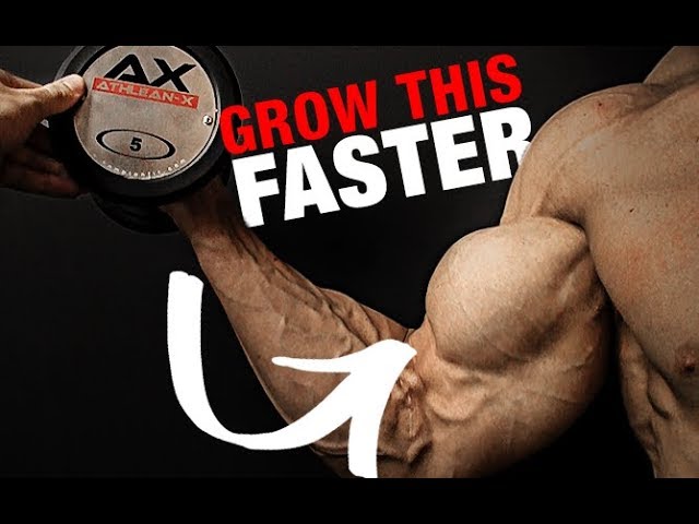 katalog plus Skraldespand How to Get Bigger Biceps (LIGHT WEIGHTS!!) - YouTube