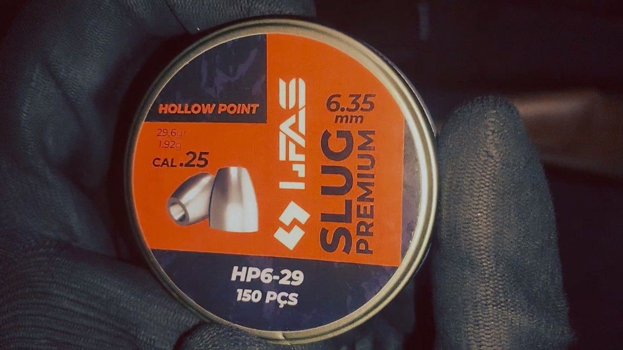 Beeman Raider 1332 - Testando Chumbinho 6.35mm LFAS Slug Premium 29 grains