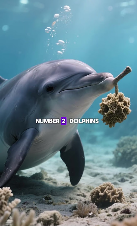 top surprising facts about dolphins #animals #trending #facts #didyouknow #dolphin #viralshorts
