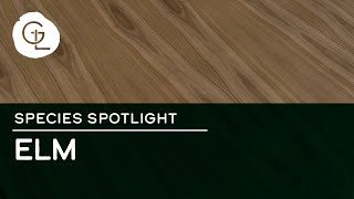 Elm Wood Veneer Sheets