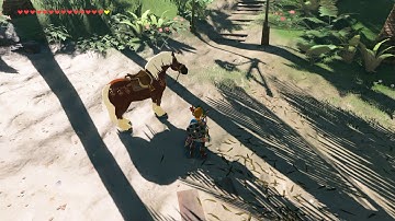 CEMU 1.11B BotW Shadow Issue/bug