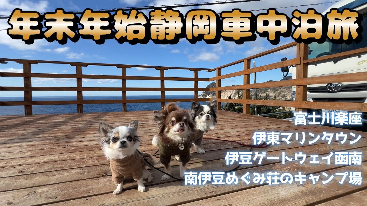 【車中泊旅】愛犬3匹と行く年末年始伊豆/静岡5泊6日の旅 後編