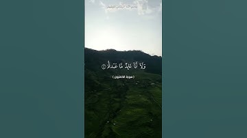 #سورة الكافرون #الشيخ #محمد الفقيه