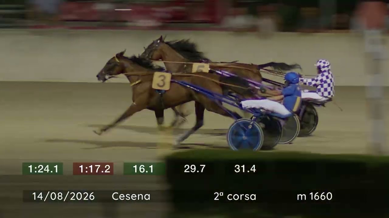 2026 08 14 | Corsa 2 | Metri 1660 | Premio Cangini & Tucci