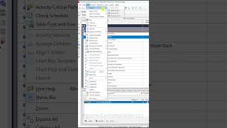 Save a layout in Primavera | P6 Tips and tricks #primavera_p6