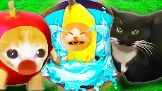 Rescue Banana Cat from the puddle | Happy Cat Funny 70