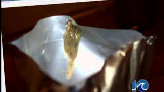 Capri Sun complaints screenshot 5