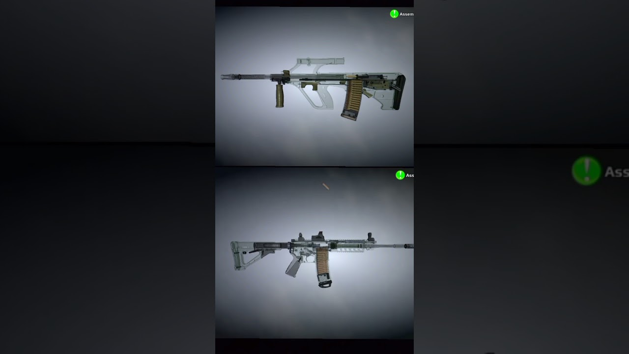 Aug vs sig 516