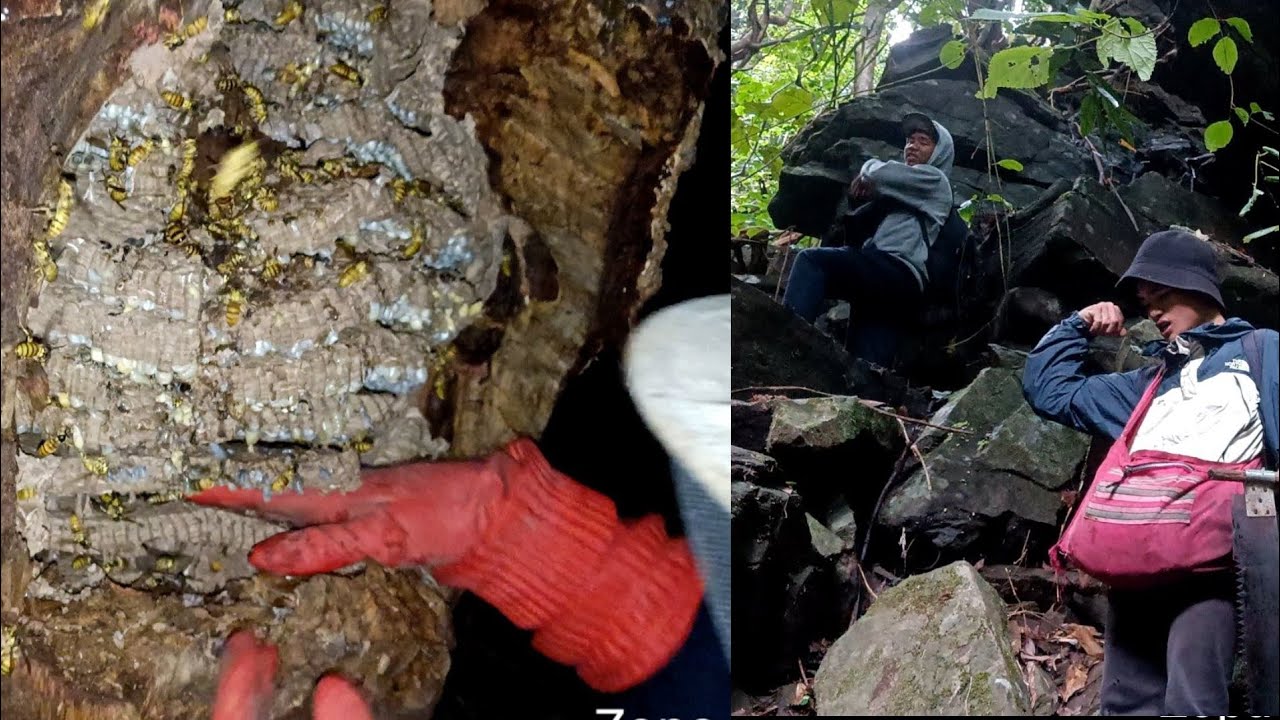 khawidang bu lak a lo tak thei  khawp mai,mukbang nen aw