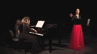 Baroque Konser Tanıtım - Senem Demircioğlu & İklim Tamkan Resimi
