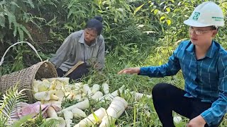 Download Lagu Girl injured while picking bamboo shoots, luckily got help from ex-husband MP3 Download Lagu Girl injured while picking bamboo shoots, luckily got help from ex-husband MP3