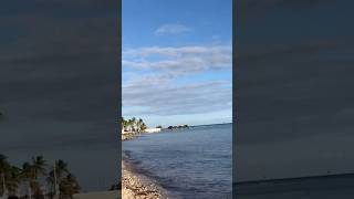 Is This Florida’s Most Beautiful Beach? Key West Paradise #keywest  #florida screenshot 3