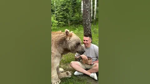 Feeding My Giant Bear | Heartwarming Bond of Trust and Friendship 🐻🤝