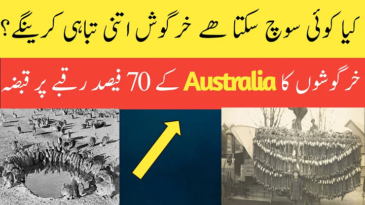 How Rabbits TOOK OVER Australia 🐰🇦🇺 | A 160-Year Battle in Urdu | Hindi